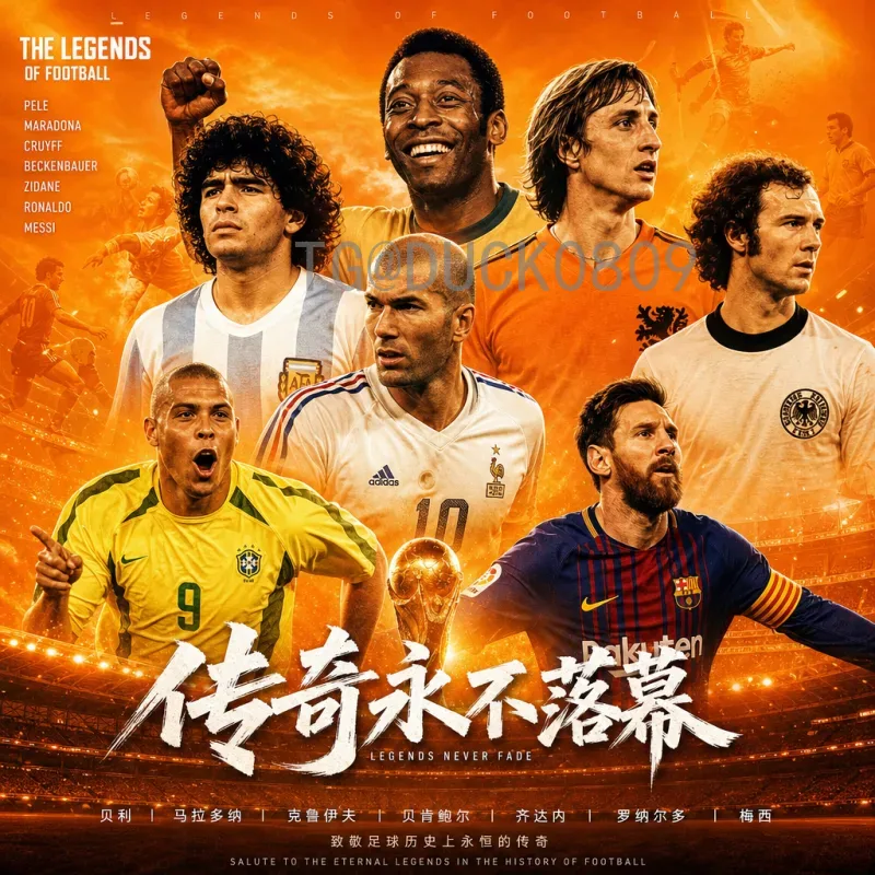 开市客2026世界杯：全球会员享购物狂欢与体育盛宴